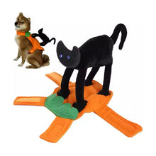 Disfraz Calabaza Con Gato Negro Para Perro /gatos Halloween