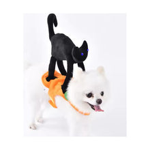 Disfraz Calabaza Con Gato Negro Para Perro /gatos Halloween