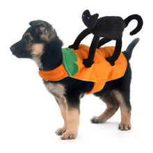 Disfraz Calabaza Con Gato Negro Para Perro /gatos Halloween