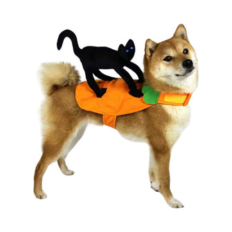 Disfraz Calabaza Con Gato Negro Para Perro /gatos Halloween